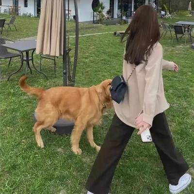 家庭教育